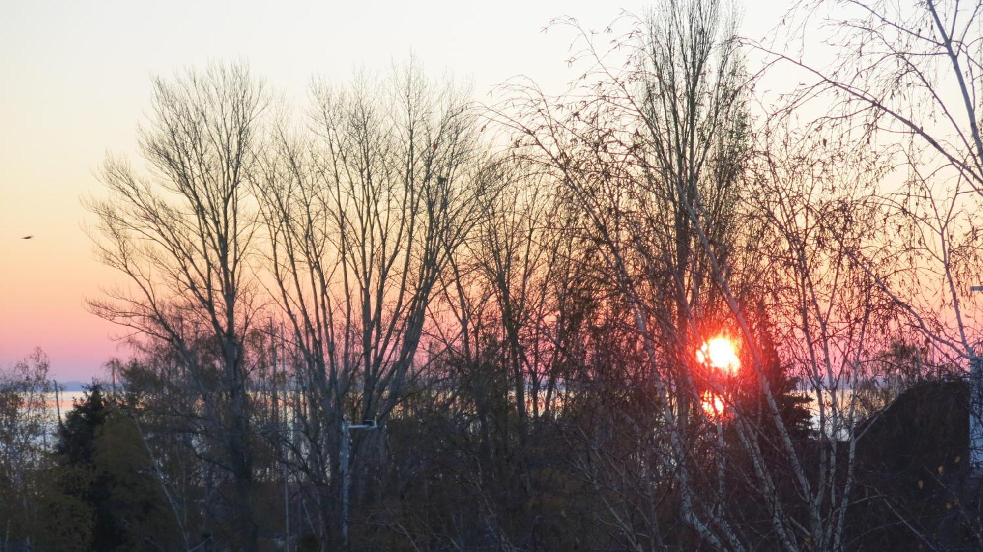 Apartman Vitorlas Vendeghaz Balatonfüred Buitenkant foto